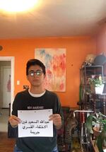 صورة مصغرة لـ ملف:سارة حجازي - عبدالله السعيد فين.jpg
