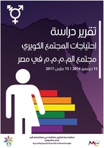 صورة مصغرة لـ ملف:تقرير دراسة احتياجات مجتمع ال م.م.م.م في مصر.pdf